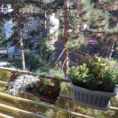 Londa Apartment Borjomi Ngoại thất bức ảnh