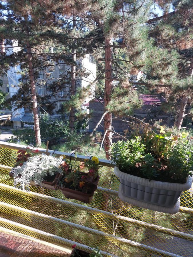 Londa Apartment Borjomi Ngoại thất bức ảnh