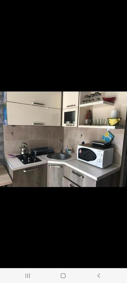 Londa Apartment Borjomi Ngoại thất bức ảnh