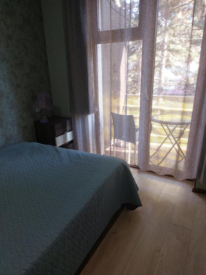 Londa Apartment Borjomi Ngoại thất bức ảnh