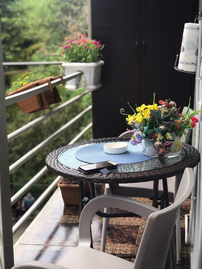 Londa Apartment Borjomi Ngoại thất bức ảnh